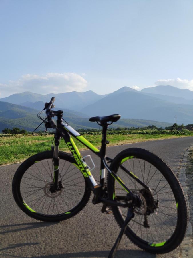 Horace Guesthouse Pool & Hot Tub & Bikes & River Dejani エクステリア 写真